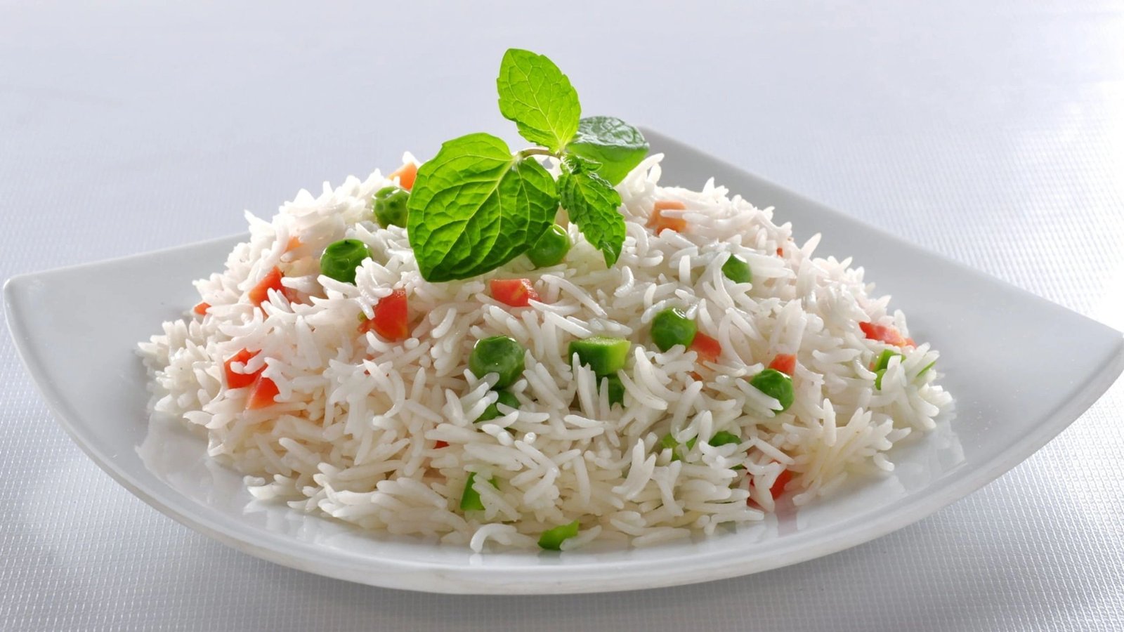 rice-field-morning